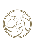 户外