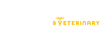 宠物